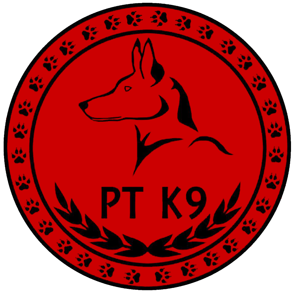 PTK9